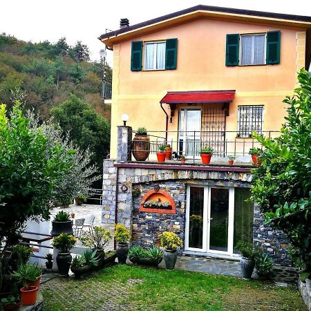 B&B Collina E Mare カモーリ エクステリア 写真