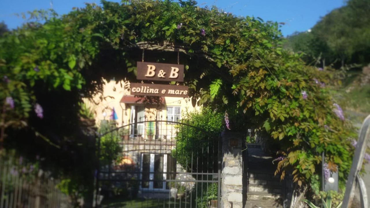 B&B Collina E Mare カモーリ エクステリア 写真