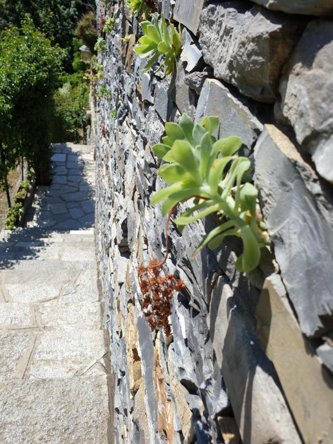 B&B Collina E Mare カモーリ エクステリア 写真