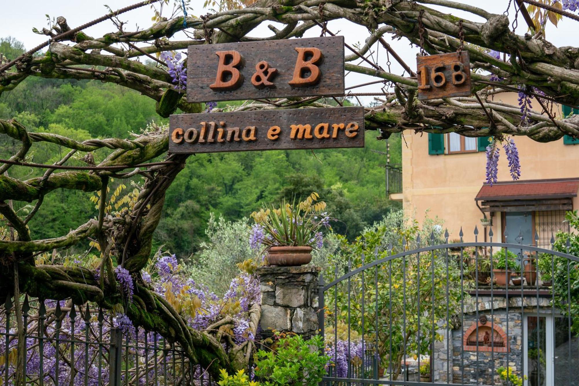 B&B Collina E Mare カモーリ エクステリア 写真