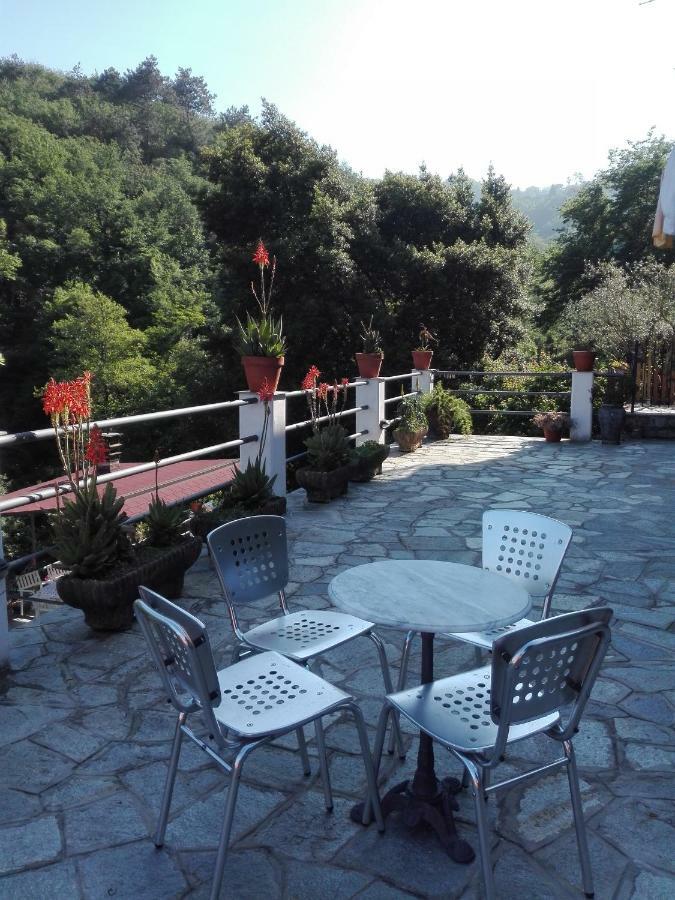 B&B Collina E Mare カモーリ エクステリア 写真